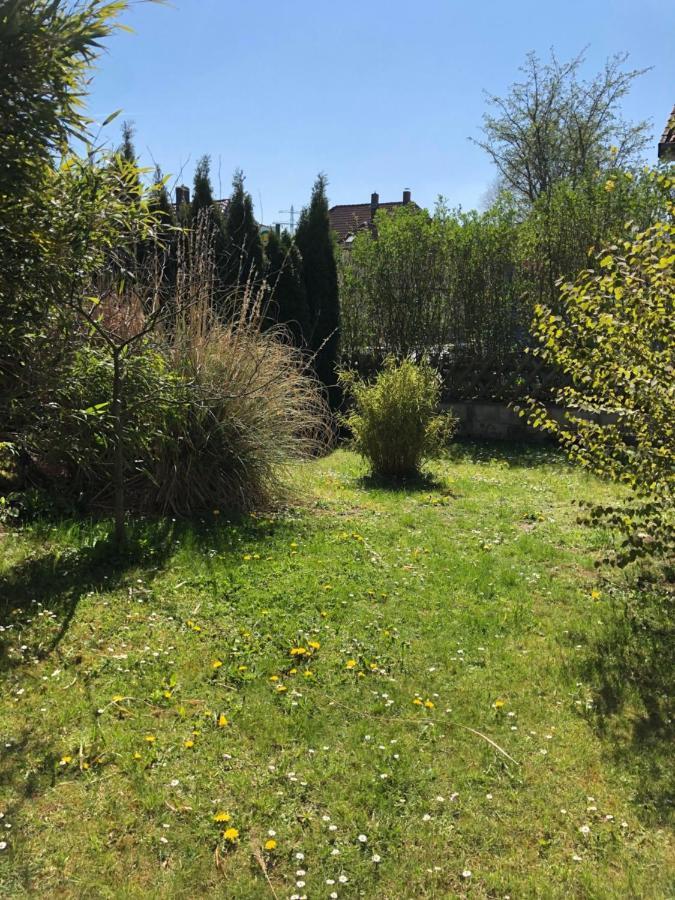 Sieben-Berge-Ferienwohnungen Alfeld  Zewnętrze zdjęcie